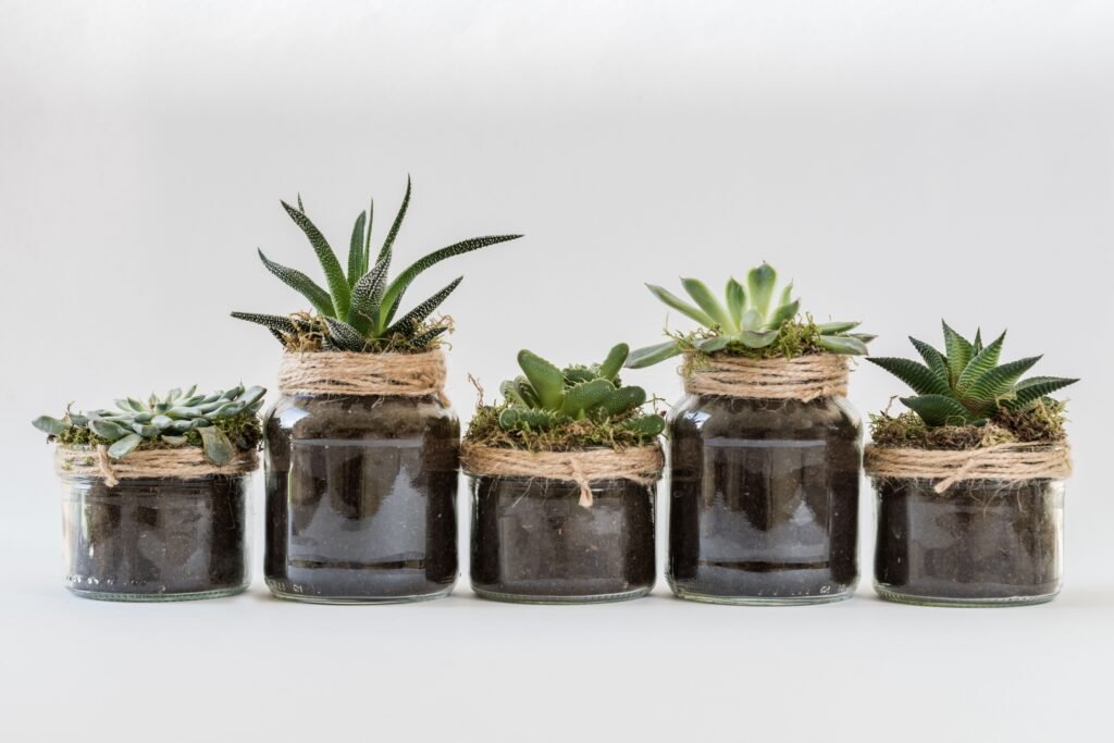 Glass jars reused as plant pots for succulents with twine.