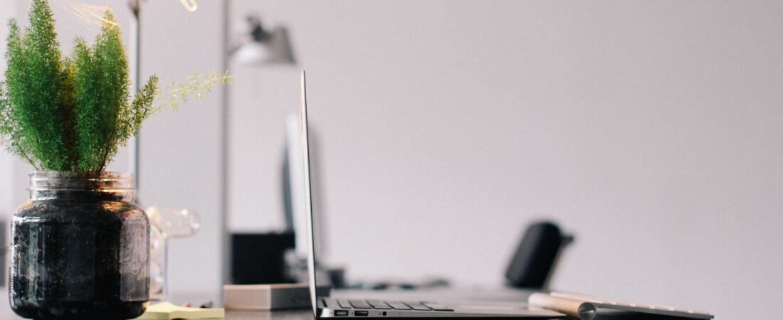 Eco-Friendly Home Office Decor